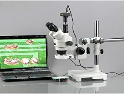 microscopio con imagen
